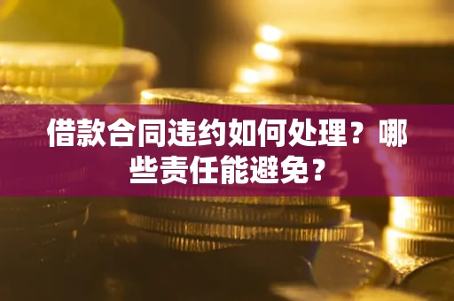 北京借款合同违约如何处理？哪些责任能避免？